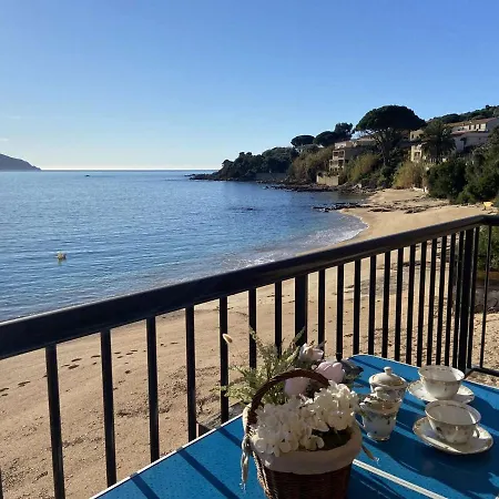 Pieds Dans L'eau Avec Terrasse Et Superbe Vue Mer, Tiuccia - Fr-1-61-477 *