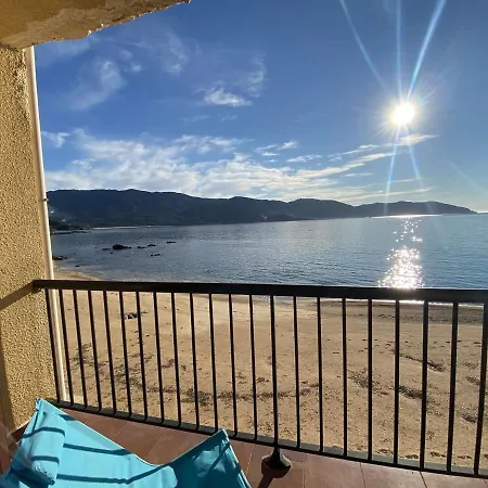 Appartement Pieds Dans L'eau Avec Terrasse Et Superbe Vue Mer, Tiuccia - Fr-1-61-477